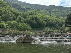 -芦茨金富饭庄·25年老字号·专做稻草鸡