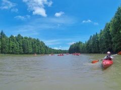 -上海海湾国家森林公园