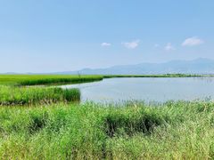 -野鸭湖国家湿地公园