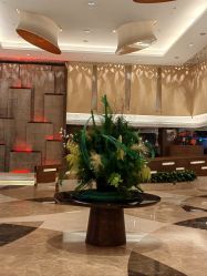 -皇冠瑜伽·普拉提·疼痛康复