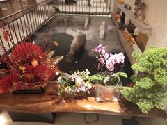 -十二粤味·顺德菜·烧鹅点心(五四广场店)
