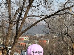 -白水寺森林公园