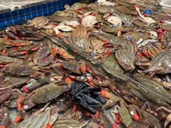 -一方渔歌蒸汽海鲜自助(文化路万达广场店)