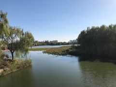 -大兴滨河森林公园