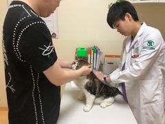 -瑞派宠物医院·24小时骨科·心脏·核磁(哈尔滨南岗店)