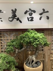 -六宫Spa女子养护中心