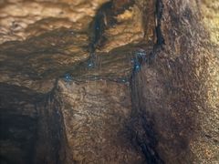 -怀托摩萤火虫洞