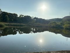 -西湖风景区-江洋畈生态公园