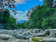 -禅宗少林·音乐大典