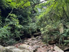 -莫干山风景区