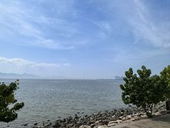 -深圳湾公园(南山区)