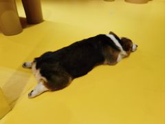 -大族广场Mall&More