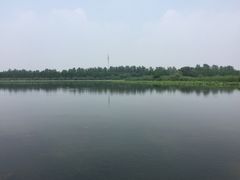 -溱湖国家湿地公园