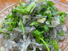 -全乐鱼馆·淳牌有机鱼直营店