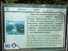 -华南国家植物园-售票处