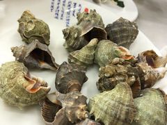清蒸小海螺-北戴河庆山饭店·海鲜砂锅粥(北戴河黑石路店)