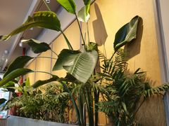 -Wagas沃歌斯(汇智店)