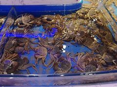 -澜悦港海鲜体验主题餐厅