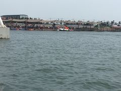 -秦皇岛乐岛海洋王国