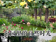 -人民公园(罗湖区)