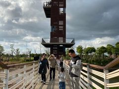 -春花秋色城市公园