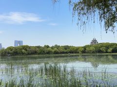 -金鸡湖桃花岛