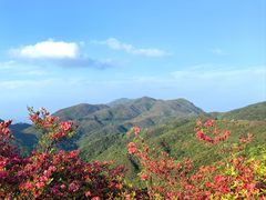 -大围山国家森林公园