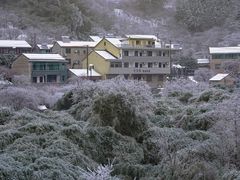 -四明山国家森林公园