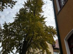 -荒岛书店(黄县路店)