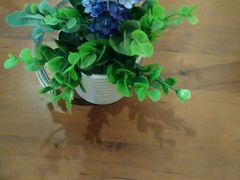 -SPR COFFEE(兴正元店)