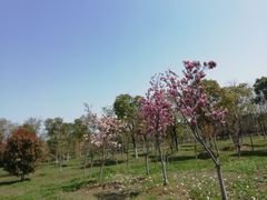 -宝岩生态观光园