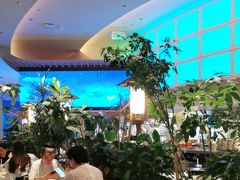 -桂满陇·蟹黄小笼汤包(清河万象店)