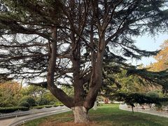 -青岛德国总督楼旧址博物馆