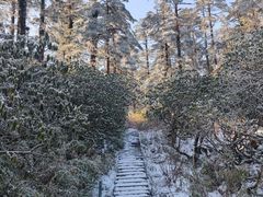-瓦屋山景区