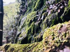 -溪口-滕头旅游景区