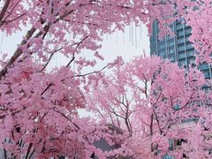-首开·龙湖成都西宸天街