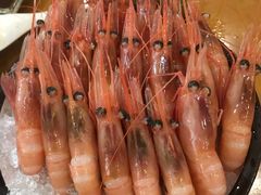 -银子铁板烧料理自助餐(人民广场店)