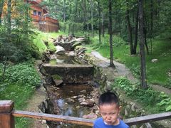 -洛阳白云山景区