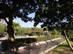 -大亚湾红树林城市湿地公园