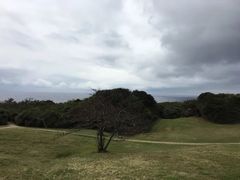 -鹅銮鼻公园