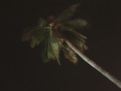 -解放路步行街                