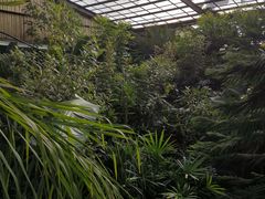 -呀路古热带植物园