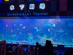 -泉城欧乐堡海洋极地世界