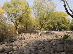 -长广溪湿地公园
