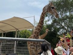 -泉州海丝野生动物世界