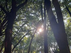 -江西财经大学(蛟桥园南校区)