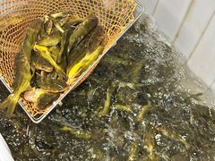 -大院河·仙鱼莊(九眼桥店)