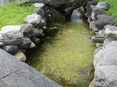 -百花人家(清水田园店)