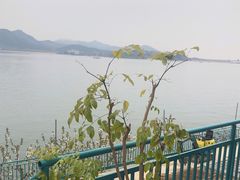 -望湖烤鱼