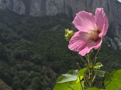 -雁荡山风景名胜区